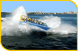 Harbour Jet Cheeky Transfer