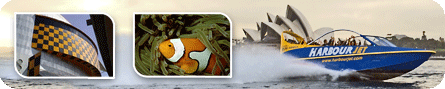 Complete Panoramic Experience