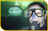 Ocean Thriller